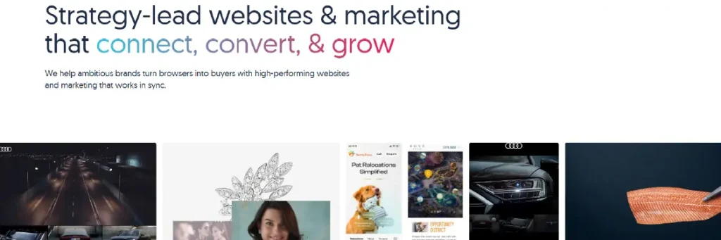 blue beetle - website design company