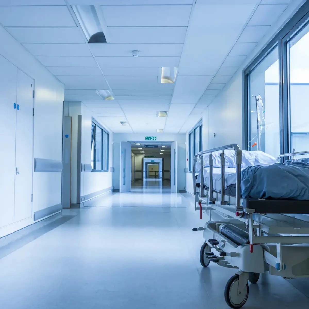 hospital website design