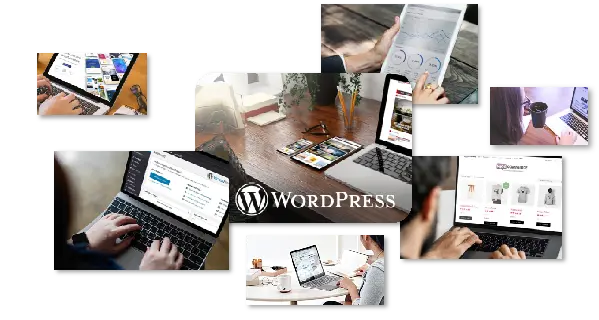why choose wordpress dubai